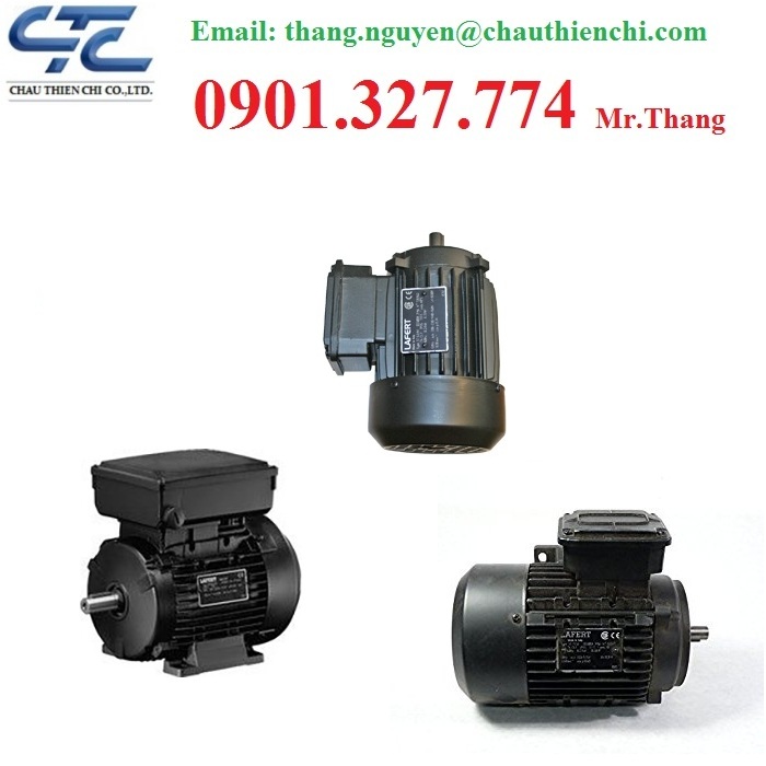 dong-co-motor-electric-lafert-dai-ly-motor-electric-lafert-tai-viet-nam